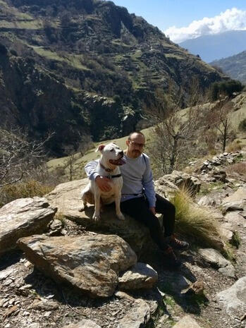 Tratamiento Psicologico